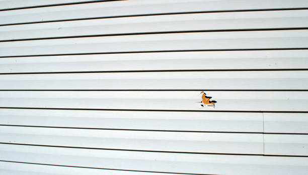 Best Aluminum Siding Installation  in Hartford, AL