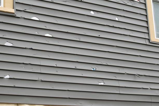 Affordable siding repair and maintenance services in Hartford, AL