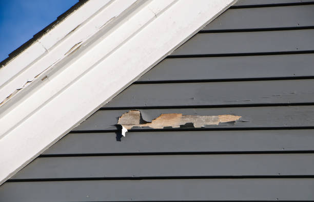 Best Siding for New Construction  in Hartford, AL