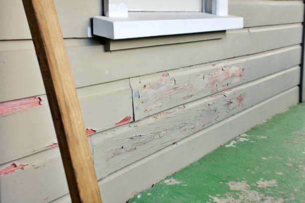 Best Siding Painting and Refinishing  in Hartford, AL